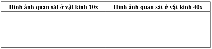 Vẽ vào ô trống dưới đây hình ảnh sữa chua đã quan sát