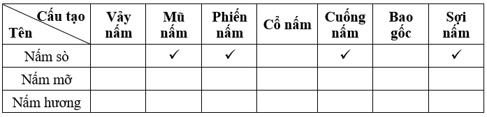 Dựa trên kết quả quan sát các thành phần cấu tạo
