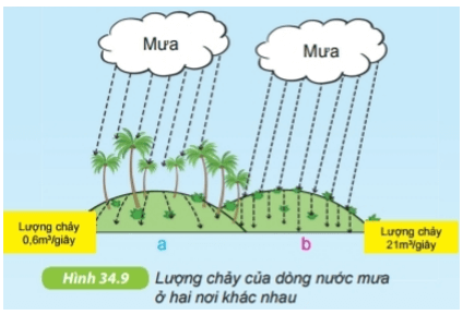 Quan sát hình 34.9 SGK KHTN 6 lựa chọn nội dung phù hợp