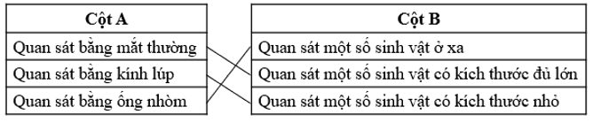 Nối nội dung cột A với nội dung ở cột B sao cho phù hợp