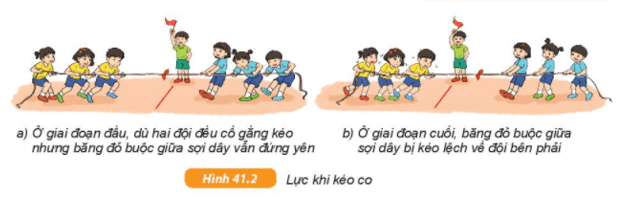 Trong hình 41.1 SGK KHTN 6 lực mạnh nhất