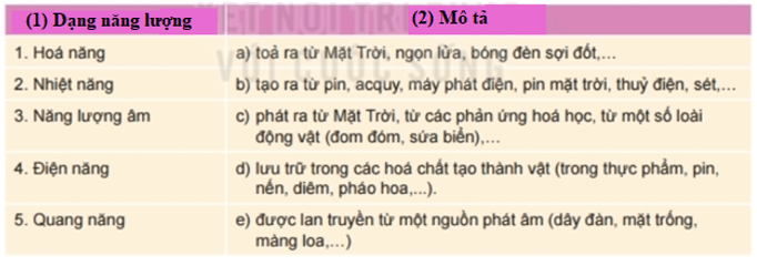 Hãy chọn tên dạng năng lượng ở cột 1 phù hợp với phần mô tả