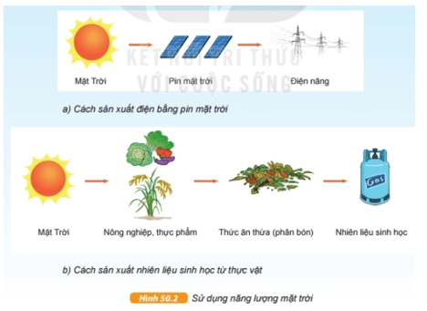 Quan sát hình 50.2 dưới đây và trả lời các câu hỏi: