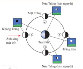 Sử dụng mô hình quan sát các pha của Mặt Trăng