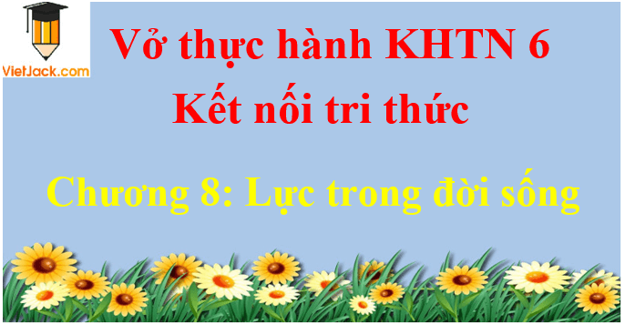 Vở thực hành Khoa học tự nhiên lớp 6 Chương 8: Lực trong đời sống | Giải VTH Khoa học tự nhiên lớp 6 hay nhất