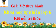 Vở thực hành Khoa học tự nhiên 6 | Giải vở thực hành Khoa học tự nhiên lớp 6