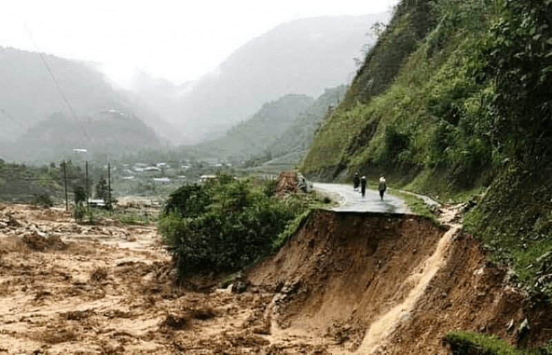 Hãy lập dàn ý chi tiết cho báo cáo thuyết trình về vai trò của đa dạng sinh học đã học